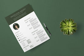 Pix Resume Template-PowerPoint Template, Keynote Template, Google Slides Template PPT Infographics -Slidequest